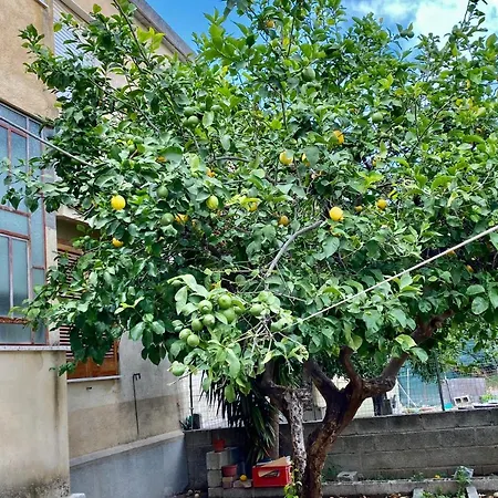 公寓 Casa Romano 焦约萨伊奥尼卡