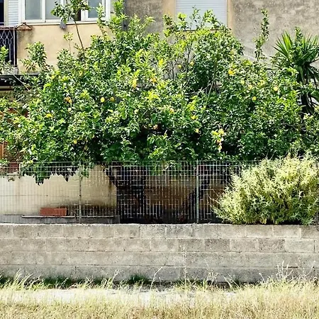 公寓 Casa Romano *